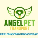 Angel Pet - Transport international animale de companie